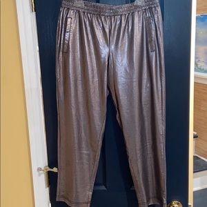 Silence and Noise Metallic Cropped Pants